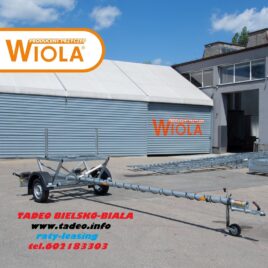 Wiola kłonica